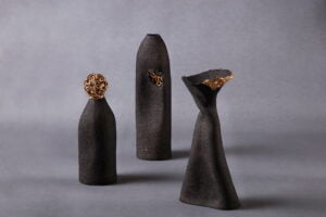 Yaşam Savaşçıları